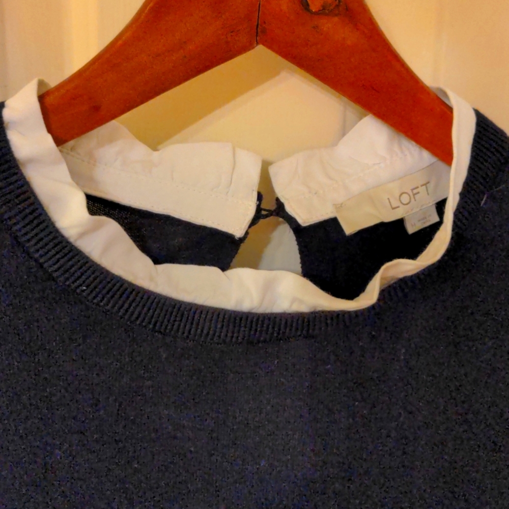 And Taylor loft lightweight sweater